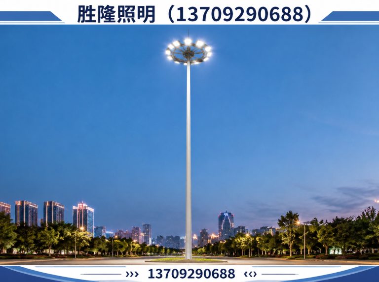 碑林区景观灯展示图